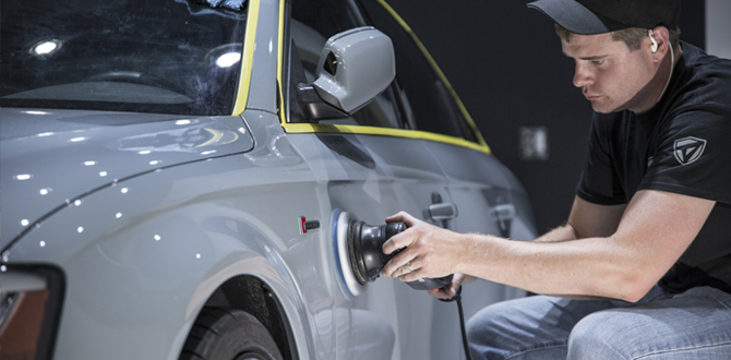 Professional paint correction process