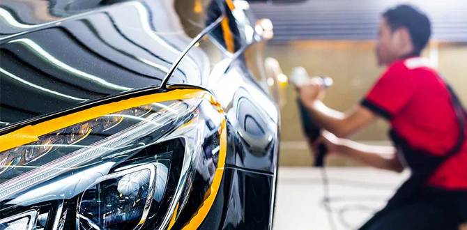 Professional auto detailing specialty services
